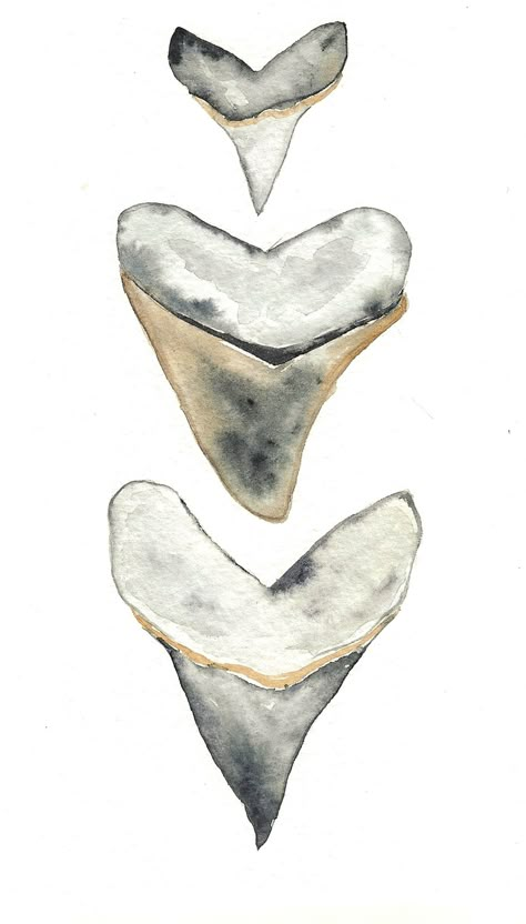 Shark Tooth Painting, Watercolor Shark Paintings, Shark Teeth Drawing, Shark Watercolor, Shark Painting, Teeth Drawing, Ocean Drawing, Shark Drawing, Shark Art