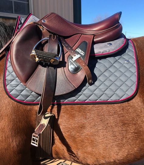 CWD 2Gs paired with Ogilvy Saddle and Half Pad Cwd Saddle, Jumping Saddle, Horse Fashion, English Saddle, Equestrian Helmet, Horse Equipment, Equestrian Boots, Horse Accessories, Horse Aesthetic