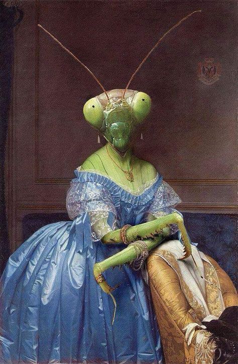 I can't help wondering what pearl-clutching Victorians would think of this. Look at the shape of the head on Madame Mantis here, and then look at the shape of the Victorian hair style in the original painting. They are oddly similar. Peter Paul Rubens, Praying Mantis, Insect Art, Arte Sketchbook, Arte Animal, Animal Heads, Weird Art, Cool Stuff, Art Journals