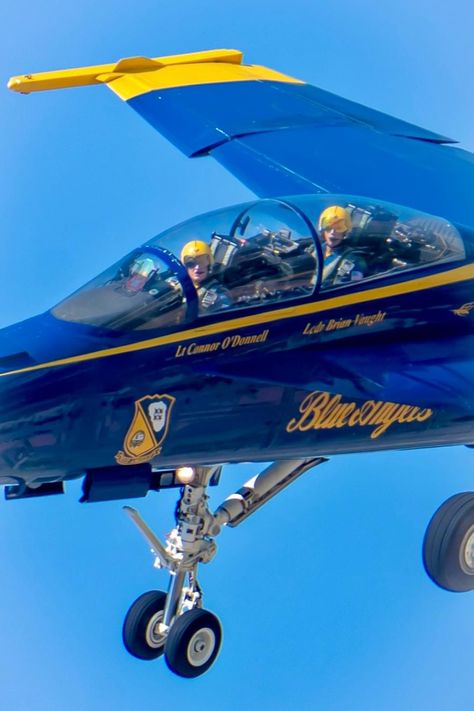 Blue Angels Air Show, Angels Pictures, Angel Pictures, Blue Angels, Air Show, Angel, Blue