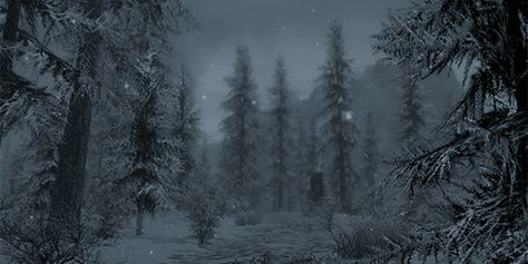 Snow Gif, Winter Landscape Photography, Snow Photography, Snowy Forest, Winter Forest, Cool Landscapes, Aesthetic Gif, Winter Aesthetic, The Avengers