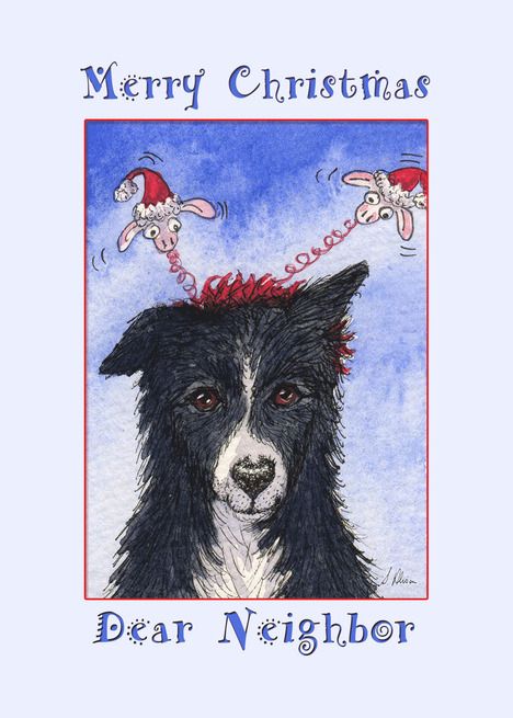 Christmas Border Collie, Merry Christmas Friends, Christmas Neighbor, White Animals, Brother Christmas, Dog Christmas Card, Unique Birthday Cards, Color Catalog, Christmas Border