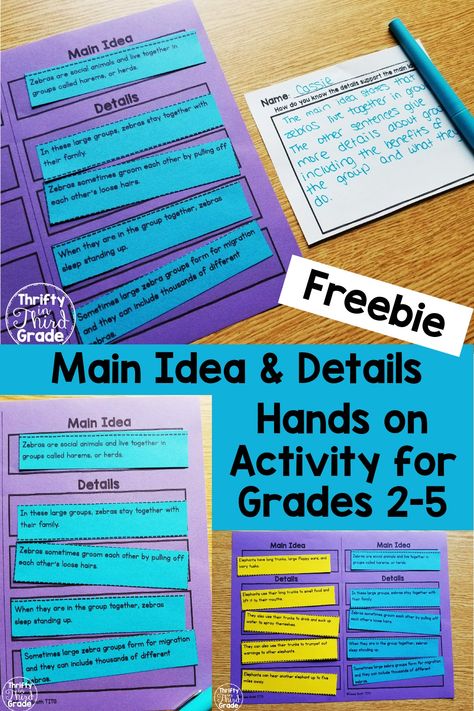 How To Teach Main Idea 3rd Grade, How To Teach Main Idea, 2nd Grade Main Idea And Details, Non Fiction Reading Activities, Teaching Main Idea 3rd Grade, 3rd Grade Main Idea And Details, Teaching Main Idea 4th Grade, Main Idea Lessons 3rd, Main Idea Second Grade