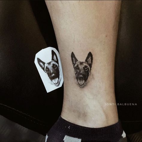 Belgian Malinois Tattoo, Malinois Tattoo, Whiplash Tattoo, Pet Portrait Tattoos, Dog Portrait Tattoo, Baby Tattoo Designs, Portrait Tattoos, Dog Line Art, Different Artists