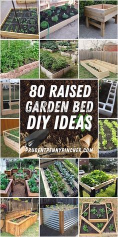 Bed Diy Ideas, Raised Garden Bed Diy, Garden Bed Diy, Easy Garden Beds, Making Raised Garden Beds, Wood Garden Beds, Raised Garden Bed Ideas, Garden Bed Ideas, Garden Bed Layout