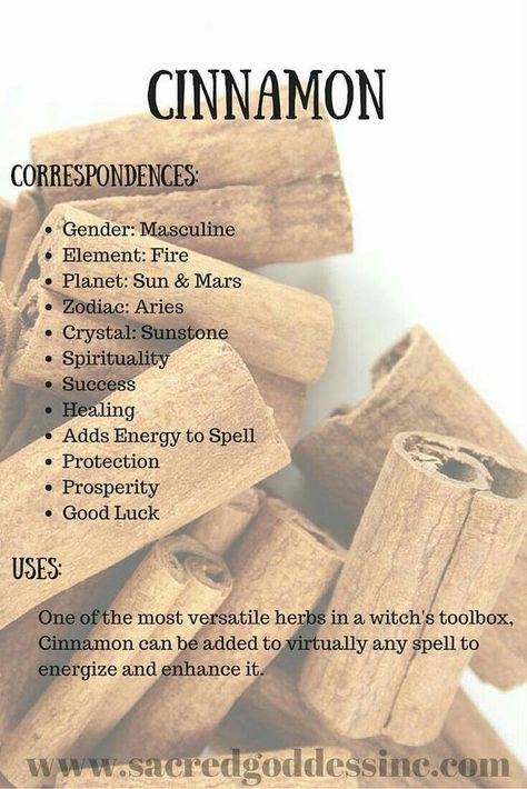 Magical Uses For - Cinnamon Cinnamon Herb, Herb Correspondences, Magickal Herbs, Witch Herbs, Magic Herbs, Kitchen Witchery, Magical Herbs, Herbal Magic, Healing Herbs