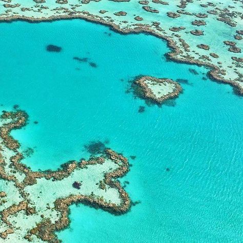 Heart Reef, Whit Sundays September Holidays, Travel Australia, Adventure Explore, Gap Year, Future Travel, Great Barrier Reef, Sweet Life, Find Beauty, Australia Travel