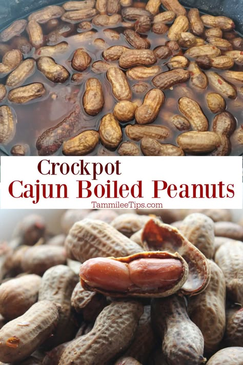 Boiled Peanuts Crockpot, Cajun Boiled Peanuts Recipe, Crockpot Cajun, Boiled Peanuts Recipe, Cajun Boiled Peanuts, Cajun Boil, Crockpot Appetizers, Boiled Peanuts, Crock Pot Recipe