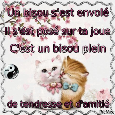 Bisou Tendresse Calin Gif, Good Night, Smiley, Of My Life, Musical, Gif, Animals