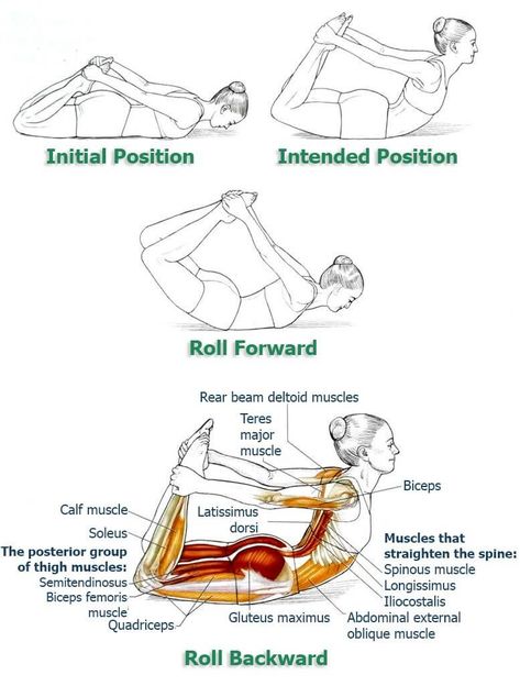 Correct Bad Posture, Bodyweight Back Workout, Posture Fix, Yoga Anatomy, Posture Exercises, Sup Yoga, Bad Posture, Pose Yoga, Back Pain Exercises