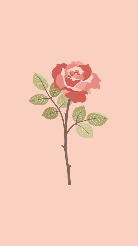 red rose wallpaper Roses Wallpaper Backgrounds, Rose Phone Wallpaper, Rose Iphone Wallpaper, Aesthetic Outline, Rose Graphic Design, Red Rose Wallpaper, Wallpaper Backgrounds Ipad, Iphone Wallpaper Pastel, Backgrounds Ipad