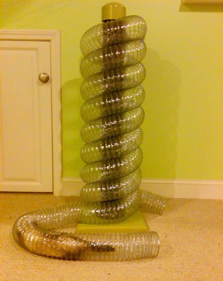 DIY Ferret Tunnel Tower - PetDIYs.com Ferret Furniture, Ferret Tunnel, Ferret Diy, Rattus Rattus, Ferret Toys, Ferrets Care, Ferret Cage, Funny Ferrets, Rat Toys