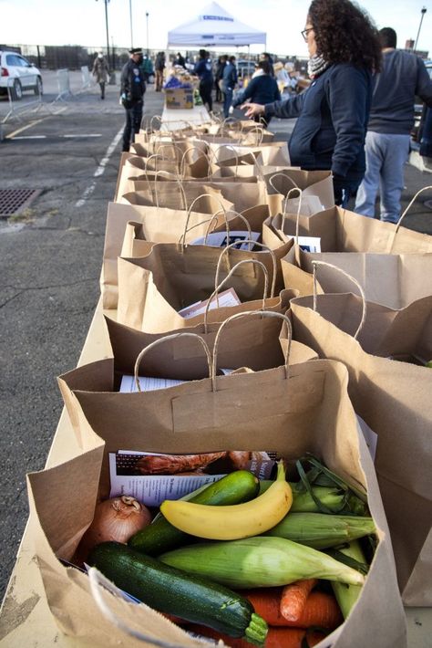 Food Bank Volunteer, Lehman College, Paper Grocery Bags, Humanitarian Projects, Community Service Projects, Community Volunteering, Vision Board Collage, College Food, Vision Board Party