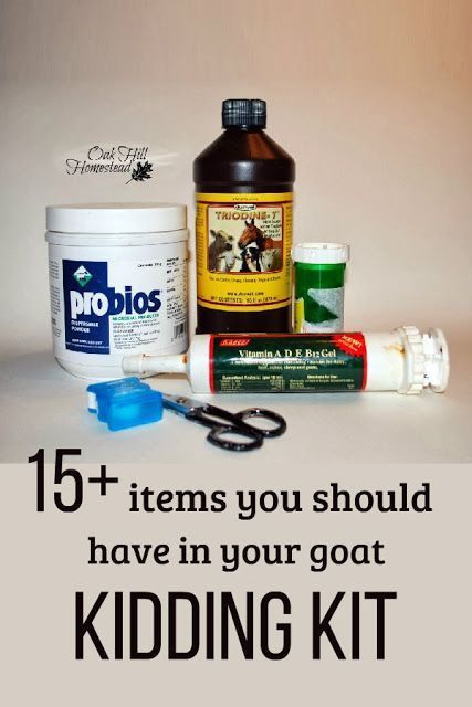 Goat Kidding Kit, Keeping Goats, Pygmy Goats, Farm Hacks, Goat House, Goat Care, Raising Rabbits, Goat Kidding, Boer Goats