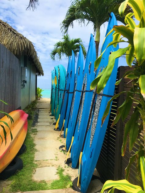 Living On An Island, Rarotonga Aesthetic, Beautiful Flowers Pictures, Ocean Life, Paddle Boarding, Flower Pictures, Places Around The World, Beach Life, Surfboard