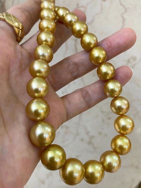 Beautifully lustrous, dark golden, South Sea Pearls in a simple strand necklace. Enduring elegance is always in fashion. South Sea Pearls Necklace, Golden Pearl Necklace, Gaudy Jewelry, Tahiti Pearl, Displaying Jewelry, Filipino Clothing, Classic Jewellery, Necklaces Pearl, South Sea Pearl Necklace