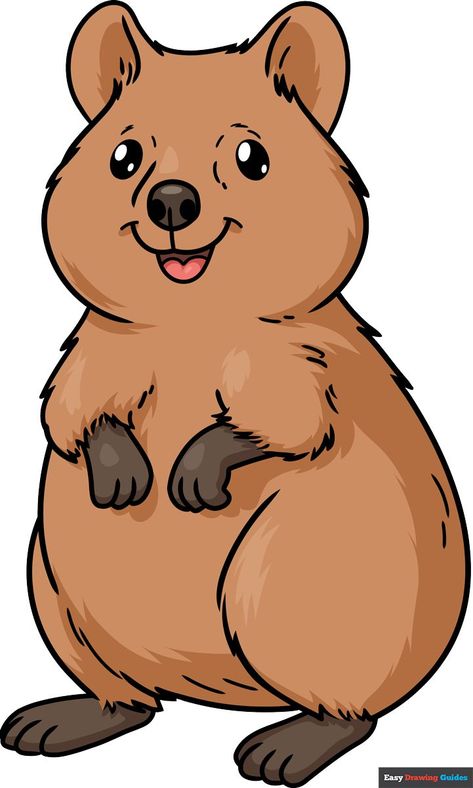 Learn How to Draw a Quokka: Easy Step-by-Step Drawing Tutorial for Kids and Beginners. See the full tutorial at https://easydrawingguides.com/how-to-draw-a-quokka/ Quokka Drawing Cute, Quokka Doodle, Bt21 Names, Quokka Drawing, Australian Mammals, Drawing Guides, Cartoon Drawing Tutorial, Easy Animals, Easy Drawing Tutorial