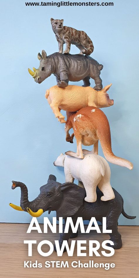 Wild Animals Stem Activities, Zoo Art Kindergarten, Endangered Animals Preschool Activities, Wild Animals Eyfs Activities, Zoo Animals Preschool Activities Science, Habitat Theme Preschool, Zoo Science Preschool, Leopard Activities For Preschool, Mammal Lesson Preschool