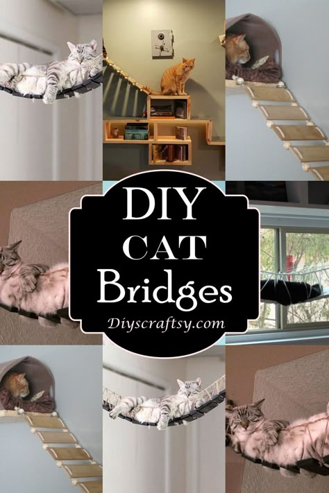 Diy Cat Condo Easy, Cat Friendly Apartment Decor, Cat Paths In House, Catification Ideas Diy Apartment, Catwalk For Cats, Diy Kitty Condo, Cat Entertainment Indoor Diy, Diy Cat Bridge Easy, Diy Catwalks For Cats