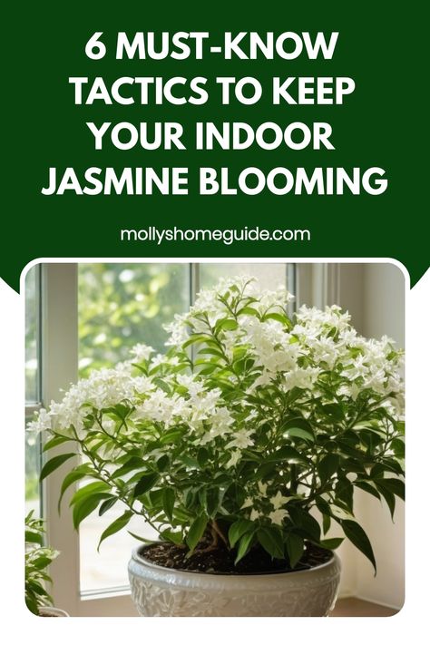 Discover step-by-step instructions on how to successfully grow beautiful jasmine plants indoors. Explore the best techniques for nurturing your indoor jasmine, from soil selection and watering tips to proper sunlight exposure and pruning practices. Learn everything you need to know about creating an ideal environment for your jasmine plant to thrive within the comfort of your home. Bring the fragrant essence of jasmine into your living space by mastering the art of indoor cultivation with these Growing Jasmine In A Pot, How To Grow Jasmine, Jasmine Indoor Plant, Jasmine Houseplant, Jasmine Plant Indoor, Indoor Jasmine, Indoor Tree Plants, Succulent Landscape, Pot Gardening