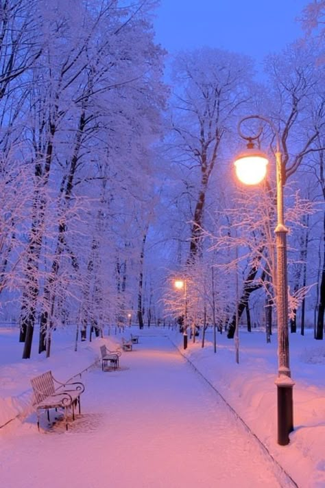 Beautiful Winter Scenes, Winter Szenen, Winter Photos, Street Lights, Winter Wallpaper, Winter Magic, Winter Scenery, Winter Beauty, Winter Vibes