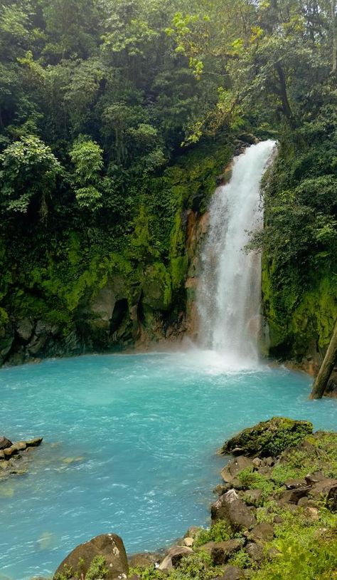 Rio Celeste Costa Rica, Costa Rica Nature, Spanish Projects, National Photography, Earth Lover, Landscape Photographers, Mother Earth, Costa Rica, Places To See