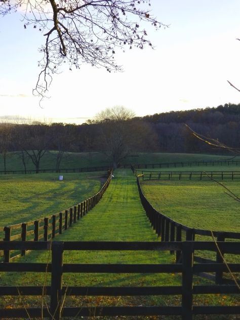 I always see paddocks with these, and i wonder what they're for.  I would turn them into exercise tracks, I think Equestrian Barns, Horse Paddock, Horse Barn Ideas Stables, Stud Farm, Dream Stables, Horse Fencing, Farm Business, Equestrian Estate, Equestrian Facilities