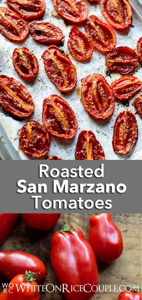 San Marzano Tomatoes Variety | WhiteOnRiceCouple.com San Marzano Tomatoes Recipes Fresh, San Marzano Tomato Sauce From Fresh Tomatoes, What To Do With San Marzano Tomatoes, Fresh San Marzano Recipes, Freezing San Marzano Tomatoes, Marzano Tomatoes Recipes, Roasted San Marzano Tomato Sauce, Roasted San Marzano Tomatoes, San Marzano Recipes