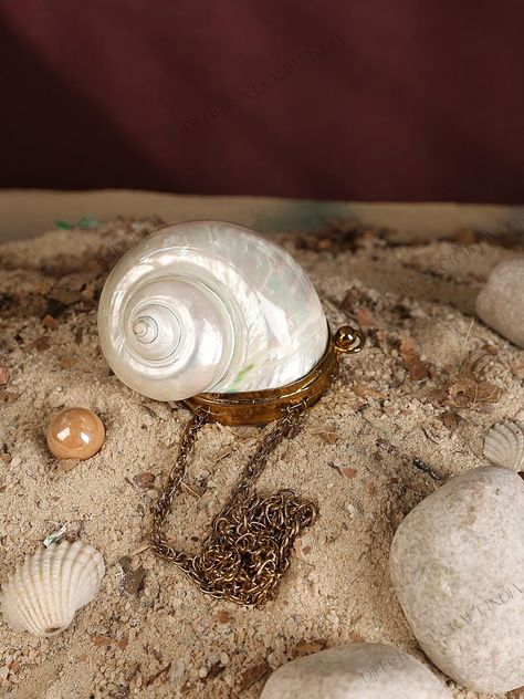 Real Nautilus Sea Shell coin purse, Luxury Natural Nautical strap clutch bag, Handcrafted Mermaid  beach bag Christmas Gift Shell Coin Purse, Mermaid Purse, Purse Luxury, Mermaid Beach, Christmas Bags, Nautilus, Sea Shell, Clutch Handbag, Beach Bag