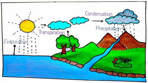 Hydrosphere Drawing, Water Day Poster Drawing, Easy Water Cycle Drawing, Water Cycle Poster Project For Kids, Save Water Drawing For Competition For Kids, Water Cycle Diagram Drawing, Water Cycle Poster, Water Cycle For Kids, Water Cycle Project