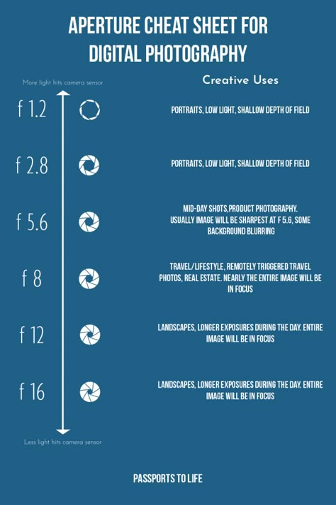 what is f stop, what is aperture in photography, how does f stop work, photography aperture cheat sheet, understanding exposure in photography, photography tutorials, how to use manual mode, basic photography tips Photography Manual Mode, What Is Aperture In Photography, Camera Manual Mode Cheat Sheet, How To Get A Blurry Background In Photos, F Stop Cheat Sheet, Aperture In Photography, F Stop Photography, Basic Photography Tips, Cannon Camera Settings Cheat Sheets