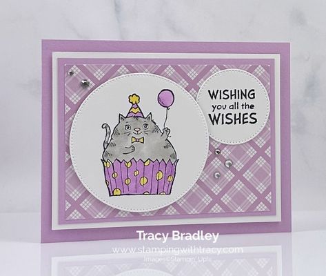 Stampin Up Best Day Cards, Dandy Designs Stampin Up Cards, Best Day Stampin Up Cards, Stampin Up Best Day, Timeless Arrangements, Cat Bday, Cupcake Cat, Cat Cards Handmade, Birthday Card Craft