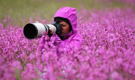 20+ Reasons Why Being A Nature Photographer Is The Best Job In The World Photographer Outfit, Simple Camera, Visit Africa, Kingfisher Bird, Wildlife Photographer, Nature Photographer, Fruit Plants, Baboon, Nature Photographs