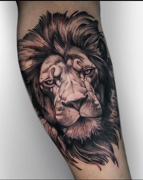 Warrior Tattoo Sleeve, Neo Tattoo, Animal Outline, Lion Head Tattoos, Lion Tattoo Design, Face Drawing Reference, Big Cats Art, Warrior Tattoo, Tiger Tattoo