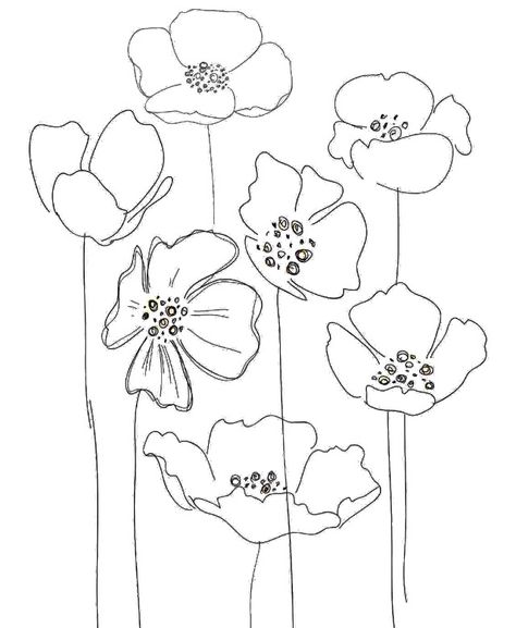 Poppies Poppy Flower Drawing, خريطة ذهنية, Arte Doodle, Flower Line Drawings, Simple Artwork, Contour Drawing, White Drawing, Pola Sulam, Poppy Seed