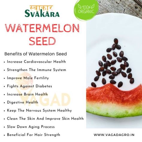 We often throw watermelon seeds after eating them, but do you know that its seeds are also very useful. Considering the nutrients present in it, if it is said that watermelon can be beneficial for your overall health, then it will probably not be wrong! By collecting their seeds, you can use them in many ways and for many things. We will tell you in detail about the health benefits of watermelon seeds. Benefits Of Watermelon Seeds, Watermelon Health Benefits, Watermelon Seed, Melon Seeds, Male Fertility, Boost Immunity, Watermelon Seeds, Healthy Exercise, Health Breakfast