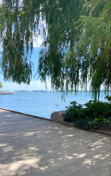 #summer #toronto #summertoronto #ontario #summeraesthetic #waterfront #torontowaterfront Toronto Aesthetic Summer, Toronto Summer Aesthetic, Waterfront Aesthetic, Singer Life, Toronto Aesthetic, Ontario Summer, Toronto Summer, Tobermory Ontario, Music Garden