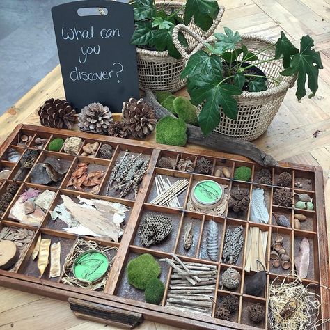 Finding unique storage for loose parts can be tricky.  However, it is so important.  It creates an environment where children can independently take care of their materials. Natural Loose Parts, Loose Parts Storage Ideas, Loose Parts Nature, Natural Loose Parts Preschool, Wooden Loose Parts Play, Nature Based Classroom, Winter Wonderland Hyde Park, Kind Photo, Reggio Emilia Classroom