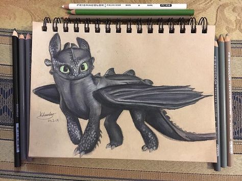 Finished colouring of Toothless using prismacolor pencils. @httydragon #toothless #httyd #howtotrainyourdragon #toothlessdrawing #buildabear #toothlesspopvinyl #prismacolor #httyd2 #httyd3 #hiccupandtoothless #toothless #httyddrawing #toothlessart Hidden World Httyd, Toothless Sketch, Toothless Httyd, Toothless Drawing, Prismacolor Drawing, The Hidden World, Httyd Art, Toothless Dragon, House Family