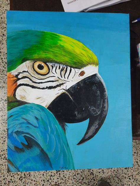 Vibrant hues of macaw Cow Paintings, Drawing On Canvas, Parrot Drawing, Parrot Painting, Animal Caricature, Canvas Drawings, Cow Painting, Bird Art, Acrylic On Canvas