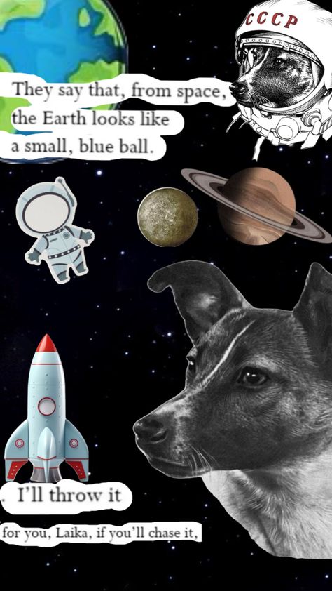 Laika Space Dog, Space Dog, Blue Ball, Dogs, Blue