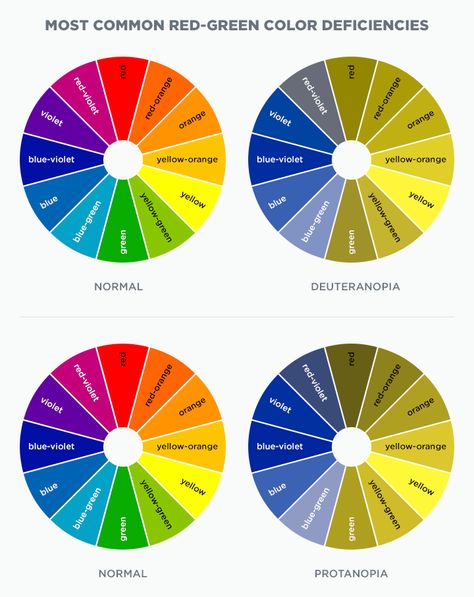 Understanding Color Blindness: A Guide to Accessible Design :: Crux Collaborative Color Vision Deficiency, Birth Colors, Accessible Design, Color Vision, Types Of Colours, Color Test, Color Blind, User Experience Design, Chart Design