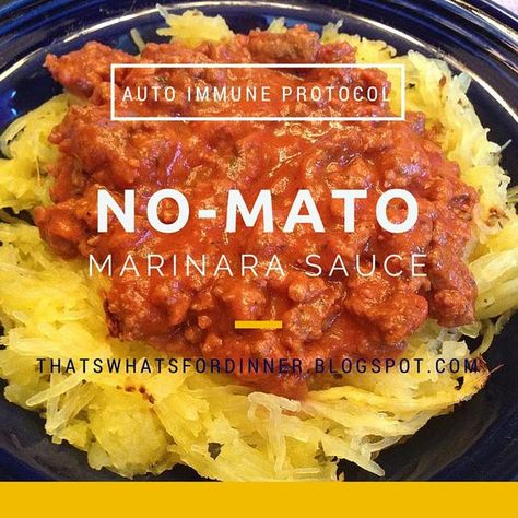 Tomato Free Sauce, Lectin Free Recipes Dinner, No Mato Sauce, No Mato Sauce Recipe, Acid Free Recipes, Aip Salsa, Failsafe Recipes, Aip Sauces, Plant Paradox Diet