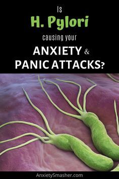 Hpylori Diet, Panic Attack Remedies, H Pylori, Healthy Eating Quotes, Low Stomach Acid, Integrative Medicine, Gut Healing, Microbiology, Health Remedies