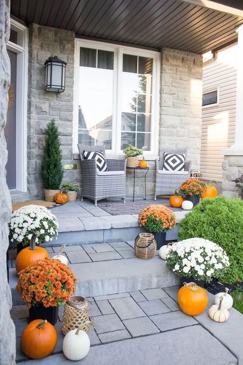 Concrete Front Steps, Potted Mums, Mums In Pumpkins, Porch Styles, Fall Mums, Steps Design, Fall Decor Inspiration, Fall Decorations Porch, Fall Porch