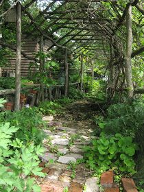 Arbor Walkway, Garden Arbor Ideas, Twig Arbor, Branch Building, Orange Sink, Rustic Arbor, Rustic Pergola, Garden Arbor, Tall Trees