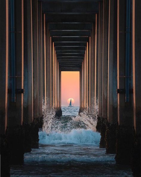 Scripps Pier San Diego, California Tumblr, San Diego Pier, Beach Equipment, Marine Science, Breath In Breath Out, California Dreaming, Dog Photography, Wonders Of The World