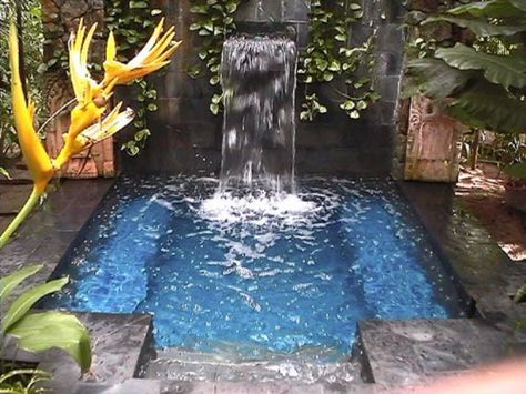 plunge outdoor pool with a waterfall you can probably DIY Garden Clipart, Hazrat Muhammad, Small Swimming Pools, Garden Calendar, Small Pool Design, Calendar 2017, Fall Flower, Small Pools, Dream Pools