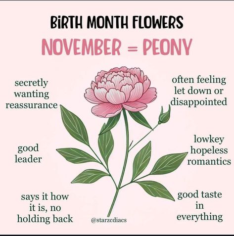 Let Down, Month Flowers, Birth Month Flowers, Birth Month, Let It Be, Feelings, Flowers