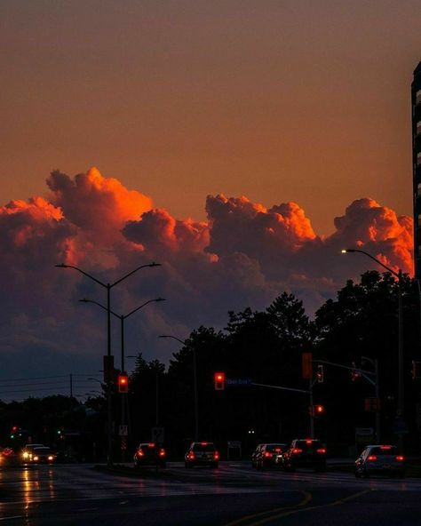 The Sky, The Sun, Sun, Cars